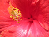 PICT0030 3